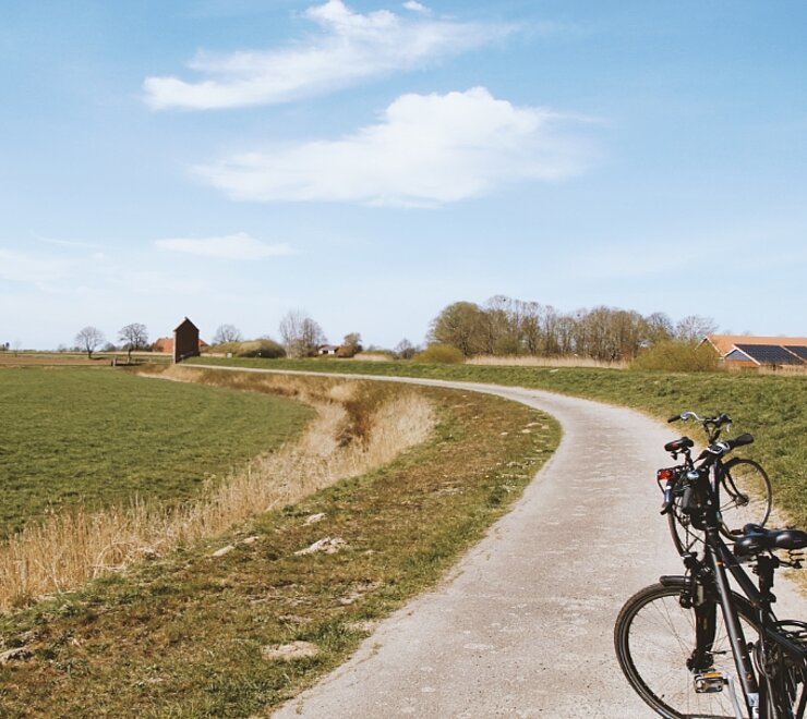Am Deich läuft in Mitten der grünen Wiesen ein Radweg entlang, zwei Fahrräder stehen direkt auf dem Radweg. Im Hintergrund steht ein kleines Häuschen.
