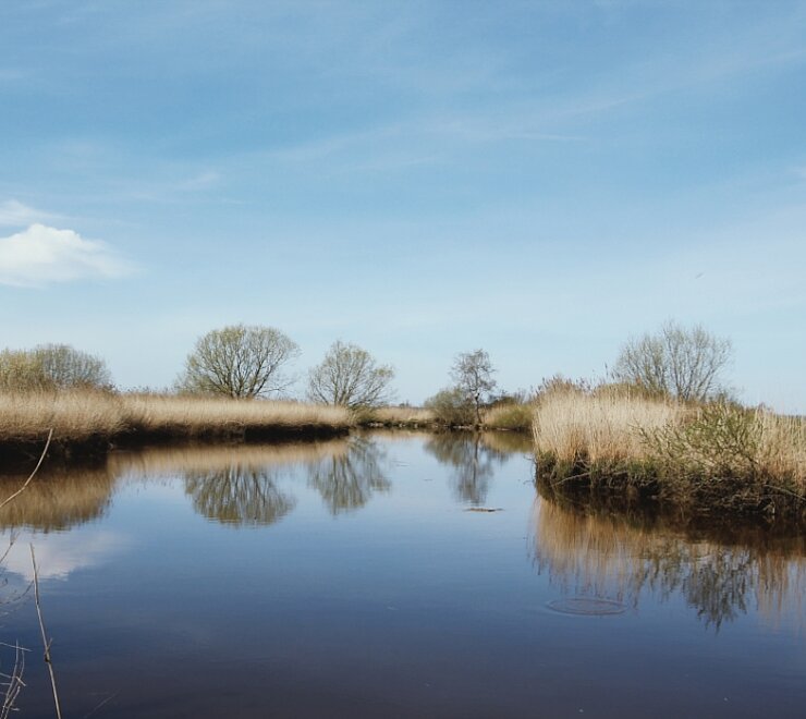 Ruhiger Fluss mit Spiegelung von Bäumen im Wasser. Umgeben von Schilf und blauem Himmel.